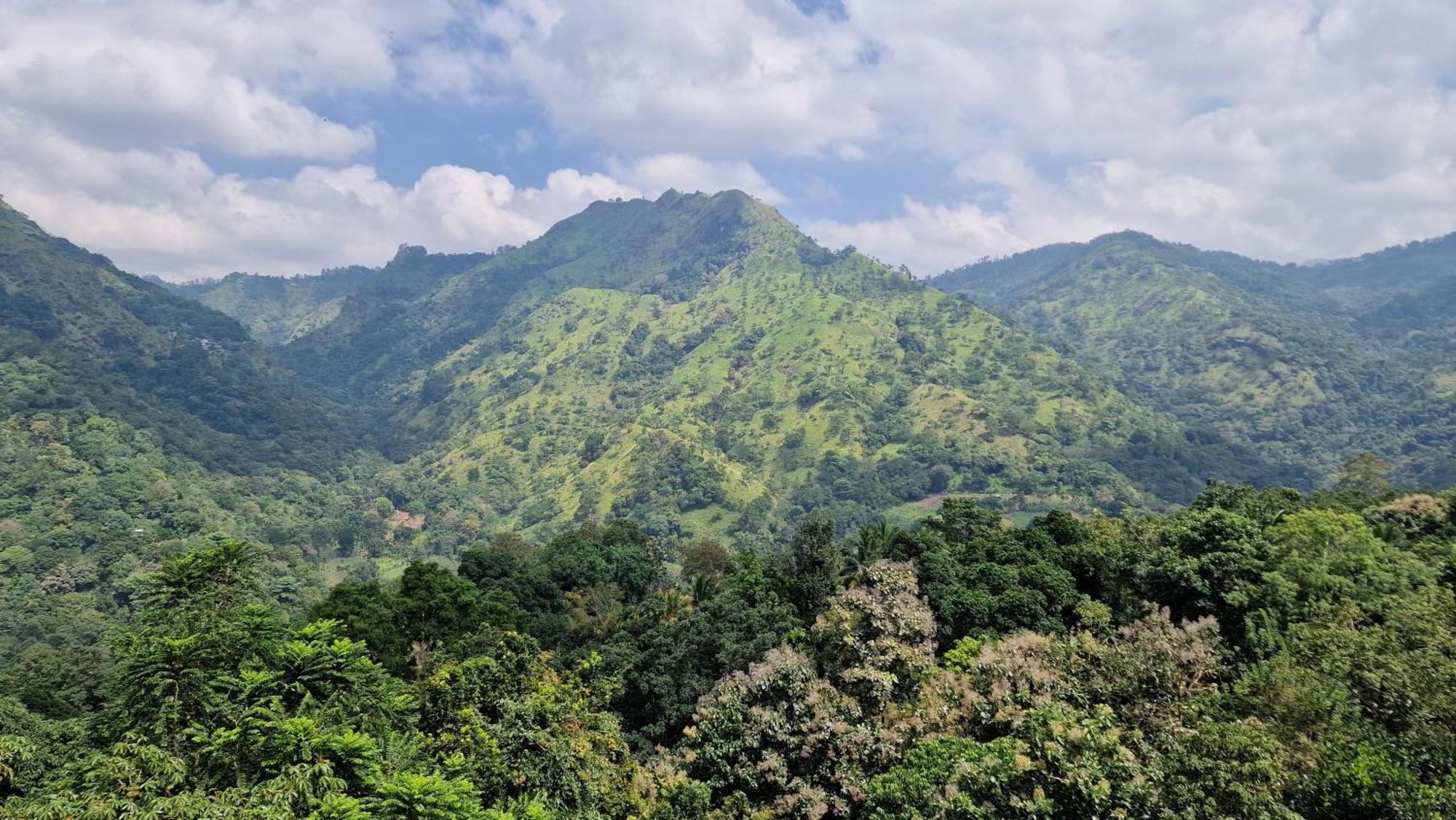 Ella Wild Waterfall Inn Bagian luar foto