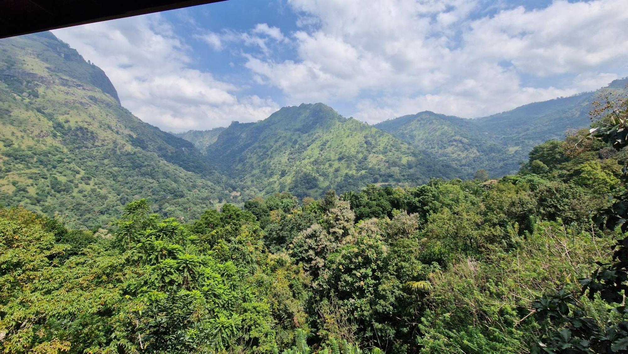 Ella Wild Waterfall Inn Bagian luar foto