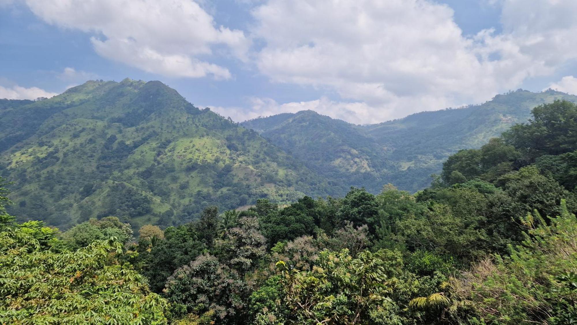 Ella Wild Waterfall Inn Bagian luar foto