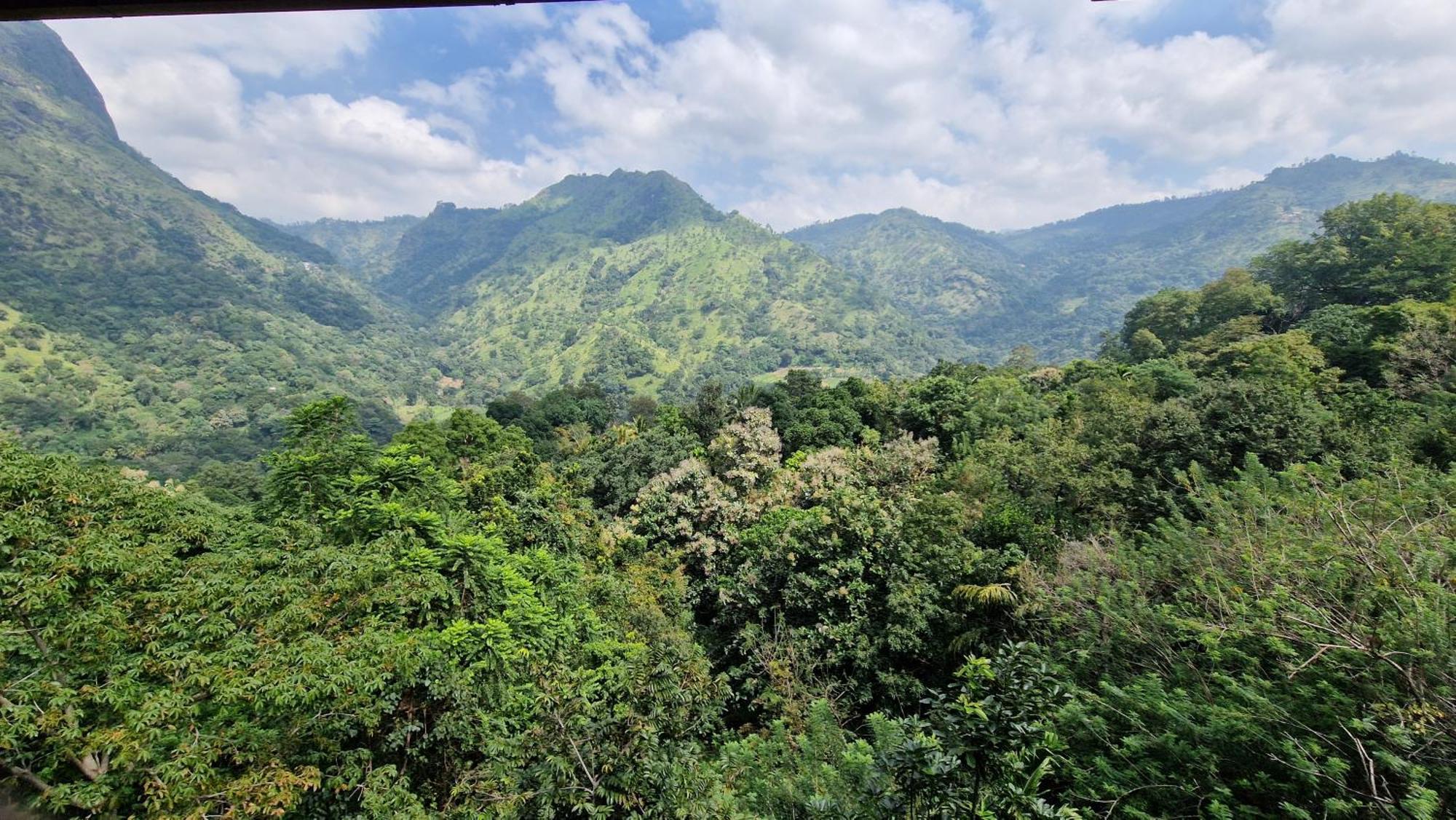 Ella Wild Waterfall Inn Bagian luar foto