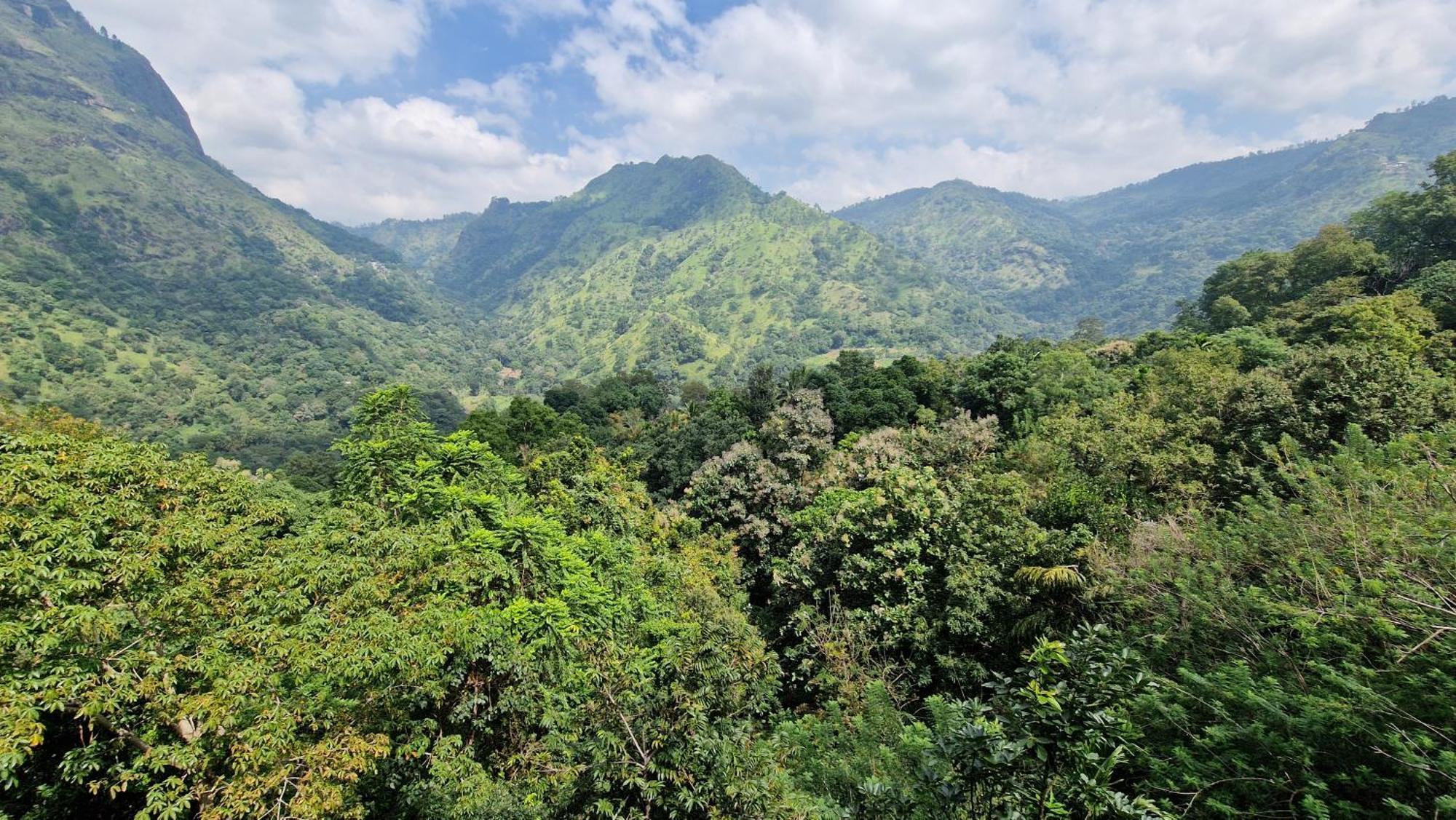 Ella Wild Waterfall Inn Bagian luar foto