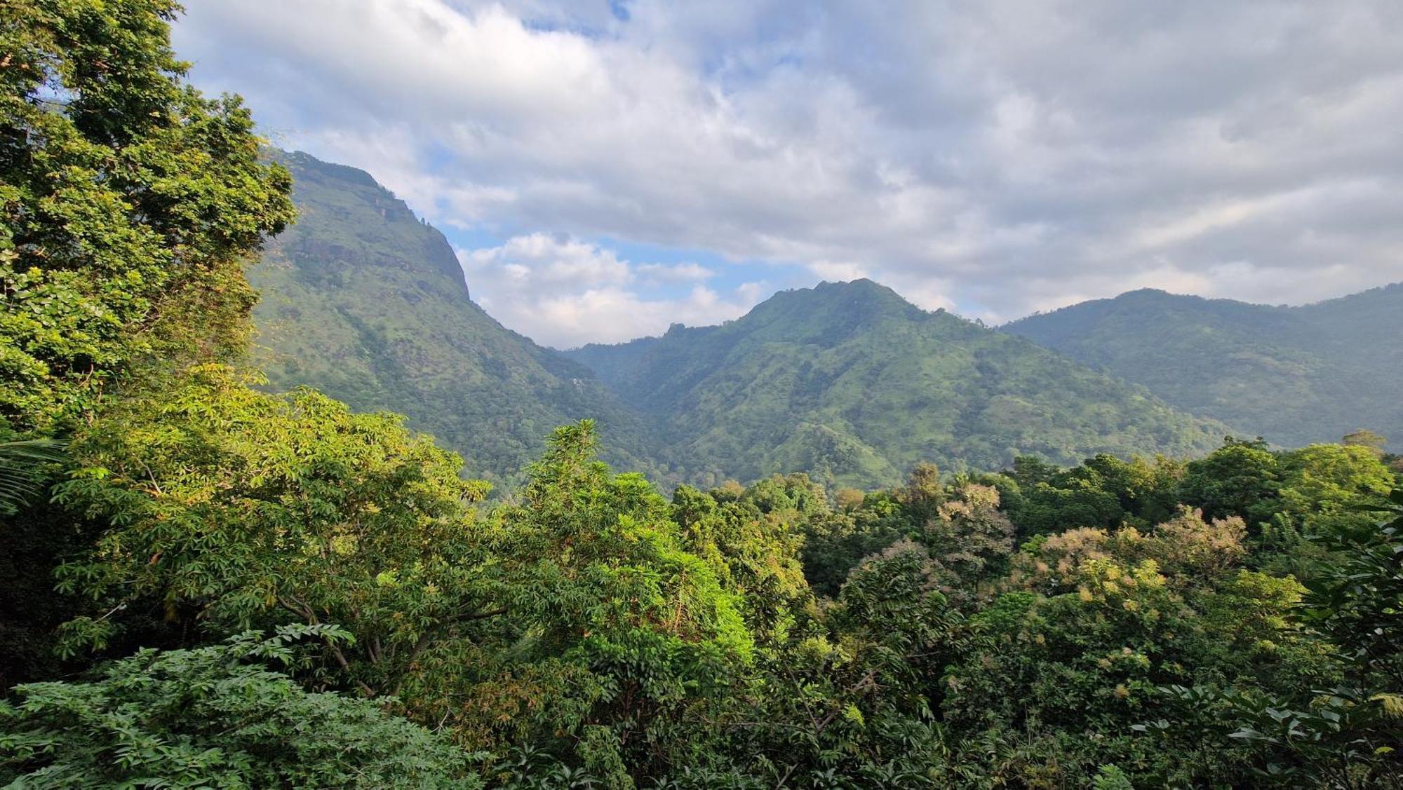 Ella Wild Waterfall Inn Bagian luar foto