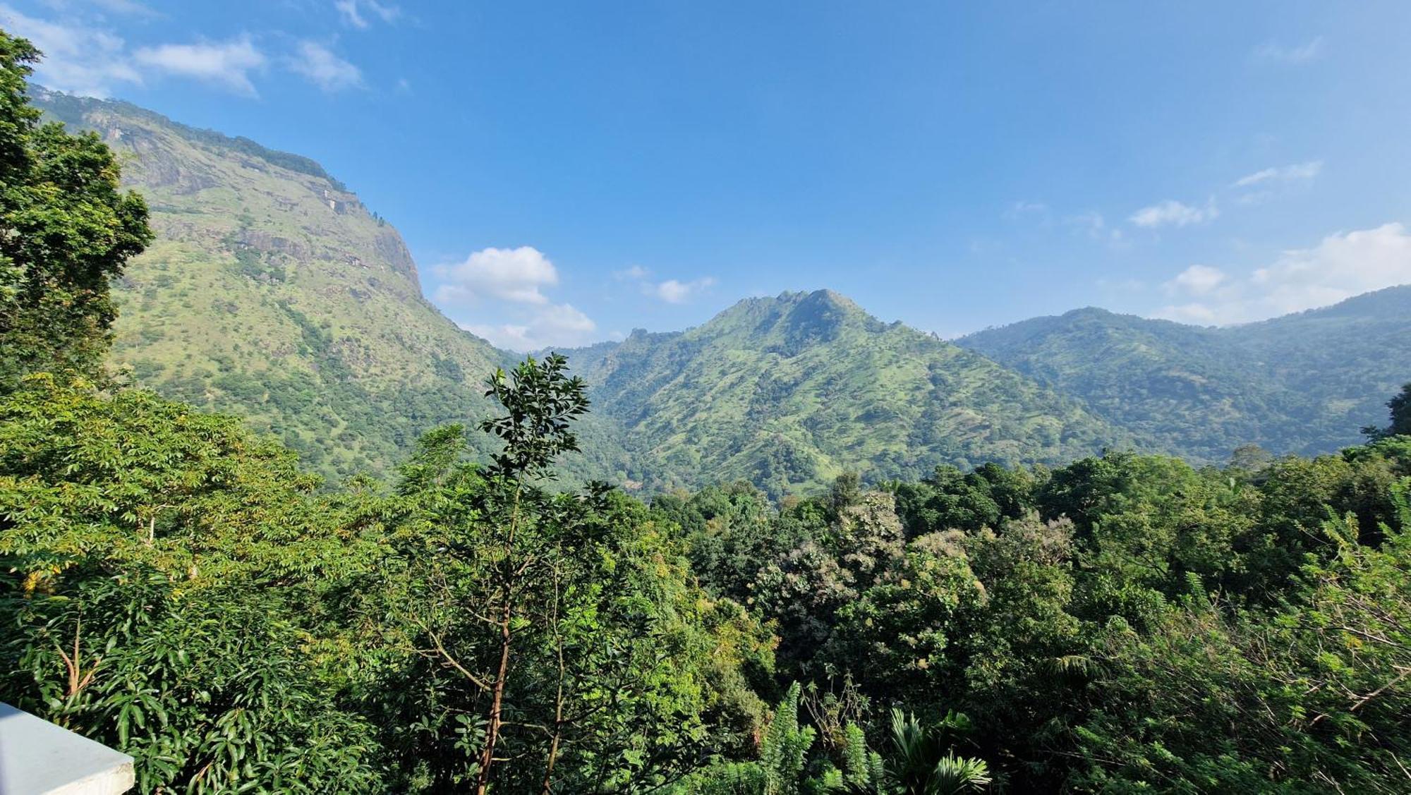 Ella Wild Waterfall Inn Bagian luar foto