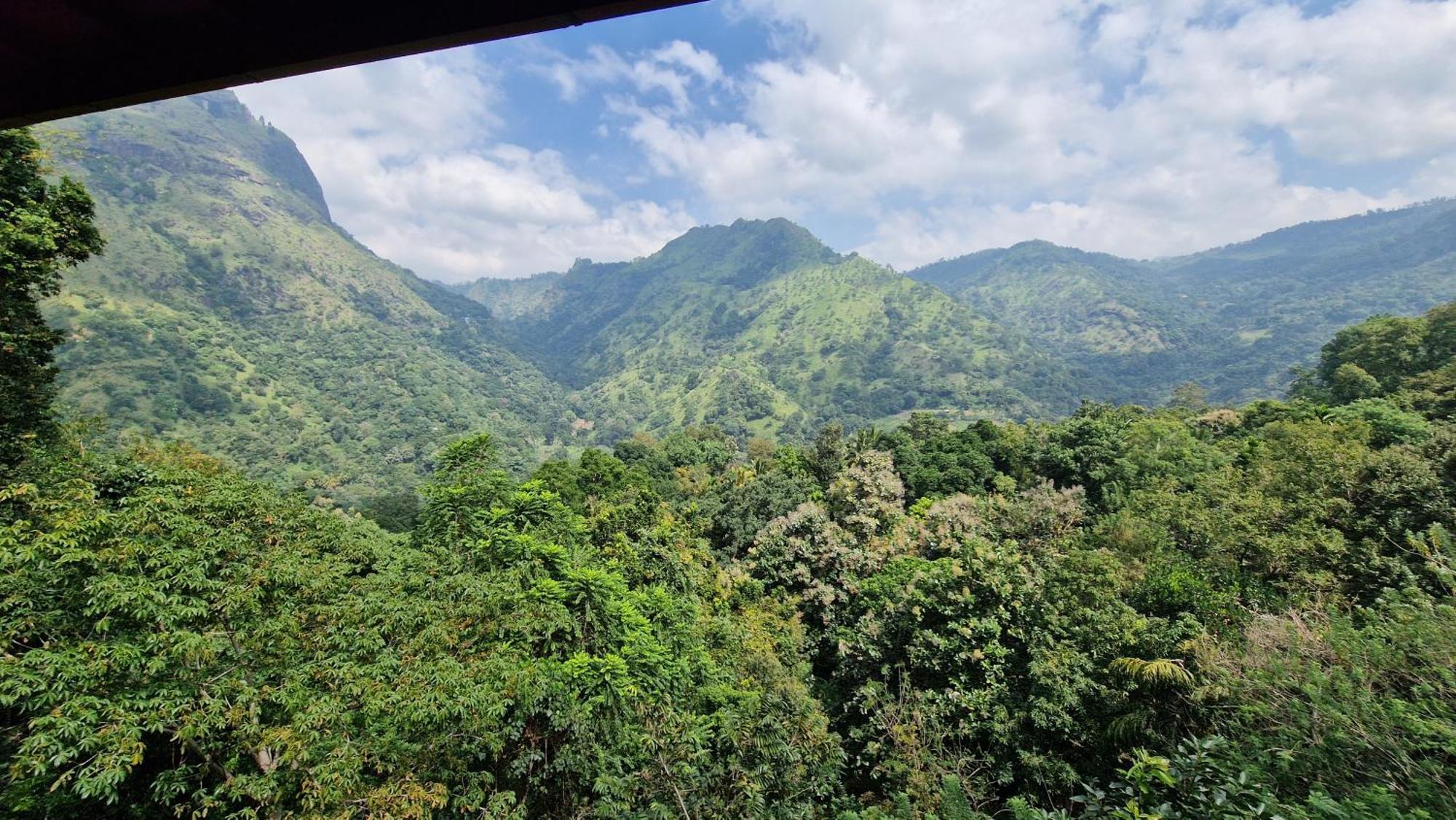 Ella Wild Waterfall Inn Bagian luar foto