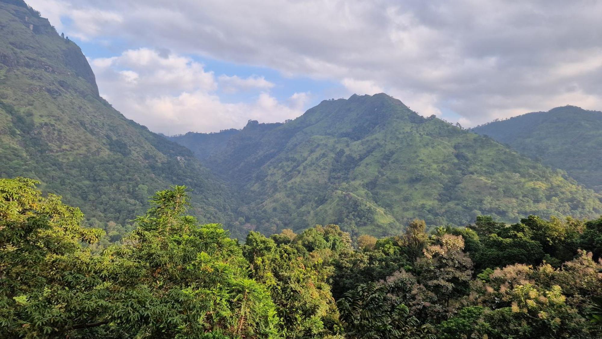 Ella Wild Waterfall Inn Bagian luar foto