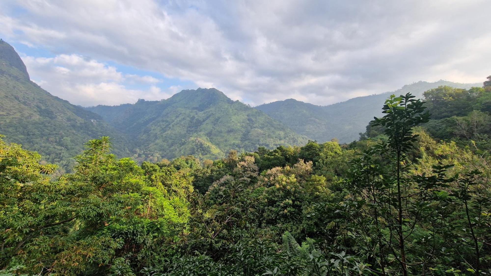 Ella Wild Waterfall Inn Bagian luar foto