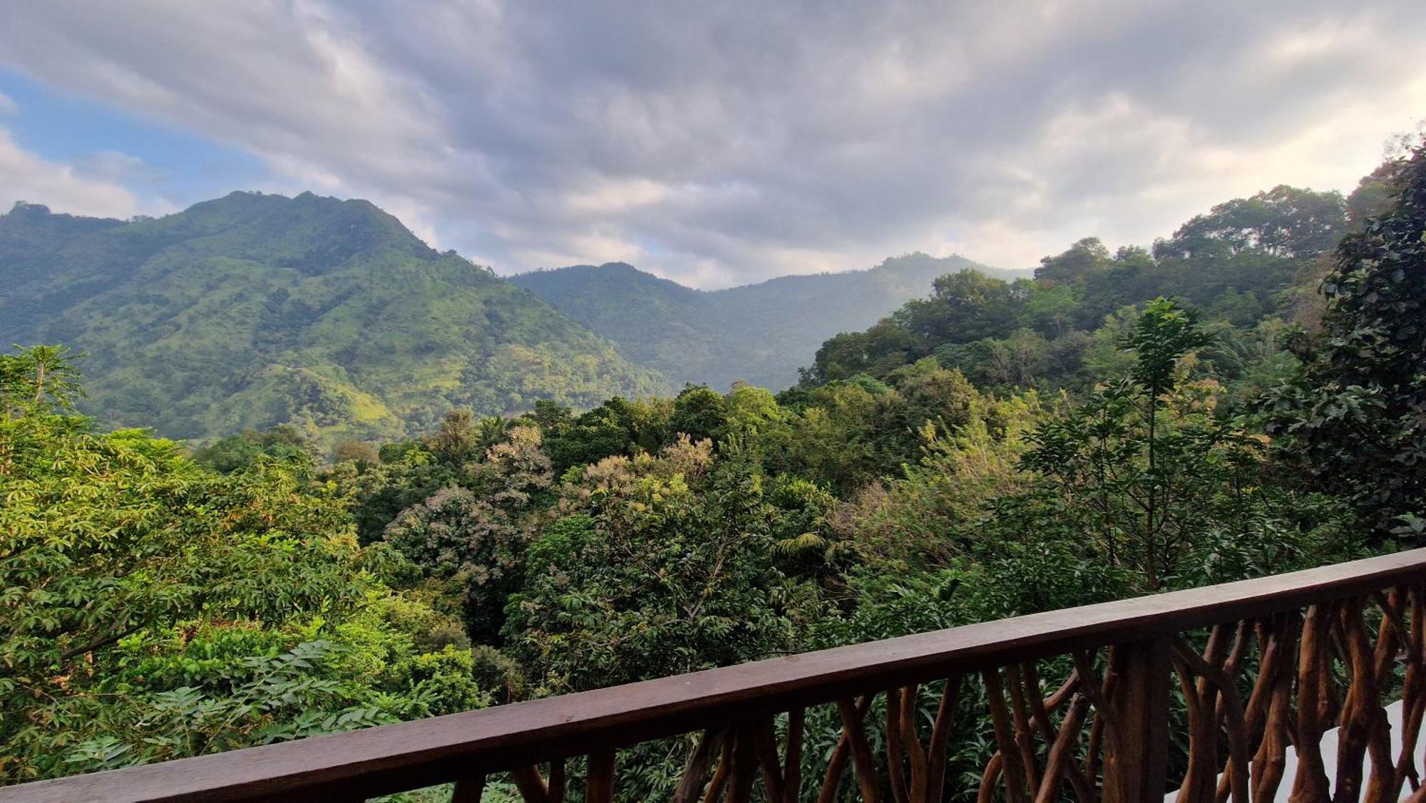 Ella Wild Waterfall Inn Bagian luar foto